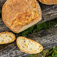 Die mittelporige Krume des Weizensauerteig-Mais-Brotes ist locker und elastisch.