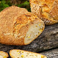 Angeschnitten ermöglicht das Weizensauerteig-Mais-Brot einen Blick auf die lockere, luftige Krume mit den eingearbeiteten Maiskörnern.