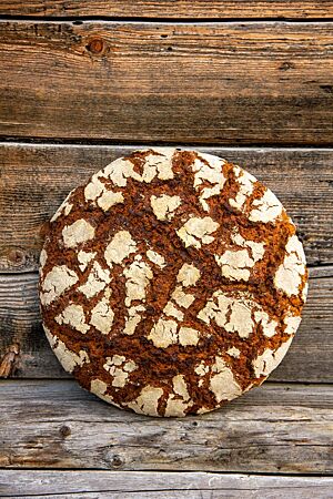 Zweistufen-Roggenbrot. Die bemehlte Oberfläche des kräftig ausgebackenen Roggenbrotes ist von vielen Rissen durchzogen.