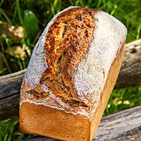 Das kräftig ausgebackene Sonntags-Einkornmischbrot in Form eines Kastenbrotes liegt auf rustikalen Holzlatten über saftigem Gras.
