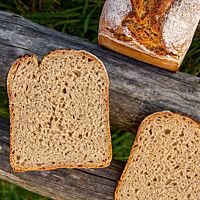 Angeschnitten zeigt das Sonntags-Einkornmischbrot die kleinporige, saftige Krume.