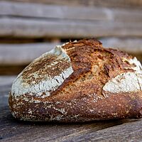 Das dunkelbraun ausgebackene Weizenvollkornsauerteigbrot mit leicht bemehlter Kruste liegt auf einem rustikalen Holztisch.