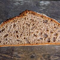 Im Anschnitt zeigt das Weizenvollkornsauerteigbrot die lockere, mittelporige Krume.