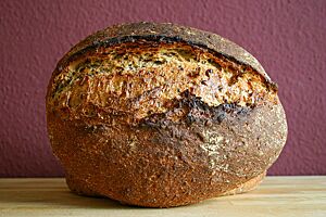 Mehrkornbrot. Das Mehrkornbrot hat eine kräftig ausgebackene und rustikal aufgerissene Kruste.