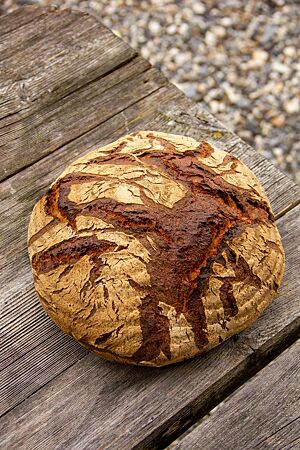 Das kräftig ausgebackene, rustikal aufgerissene Kartoffelbrot mit bemehlter Kruste liegt auf einem Holztisch.