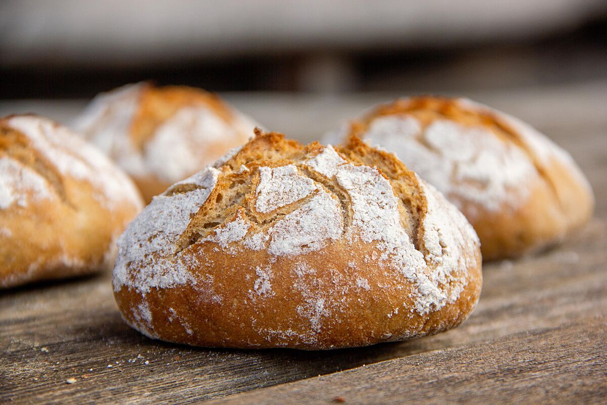 Roggenbrötchen (Roggenmischbrötchen): Plötzblog Roggenbrötchen (Roggenmischbrötchen): Plötzblog