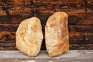 Ciabatta mit Lievito Madre. Zwei leicht bemehlte Ciabattas mit glatter Oberfläche lehnen an einer rustikalen Holzwand.