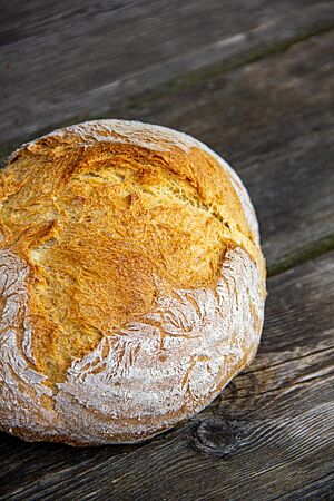 Pane di grano duro. Ein goldgelb ausgebackenes, rustikal aufgerissenes Weizenbrot mit leicht bemehlter Kruste liegt auf einem Holztisch.