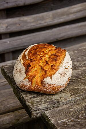 Das kräftig ausgebackene, rustikal aufgerissene Kamutbrot mit bemehlter Kruste liegt auf einem Holztisch.