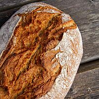 Die Kruste de Triticale-Brotes ist knusprig ausgebacken und rustikal aufgerissen.