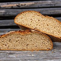 Das halbierte König-Thomas-Brot zeigt die kleinporige, lockere Krume.