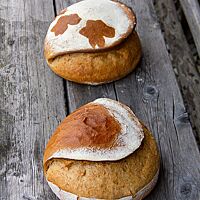 Zwei kräftig ausgebackene, runde Brote mit teilweise bemehlter Kruste liegen auf einem rustikalen Holztisch.