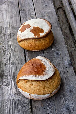 Zwei kräftig ausgebackene, runde Brote mit teilweise bemehlter Kruste liegen auf einem rustikalen Holztisch.