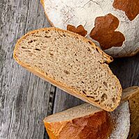 Im Anschnitt zeigt sich Hibas Brot locker und elastisch.