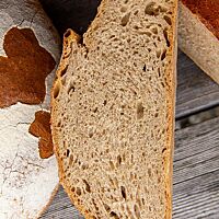 Angeschnitten offenbart Hibas Brot die kleinporige, lockere Krume.