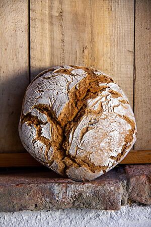 Ein rustikal aufgerissenes Vollkornbrot mit bemehlter, krosser Kruste lehnt an einer Holzwand.