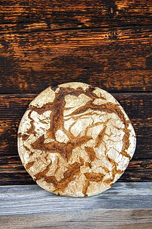 Kalchkendlkruste. Das kräftig ausgebackene, rustikal aufgerissene Roggenmischbrot mit bemehlter Kruste lehnt an einer Holzwand.