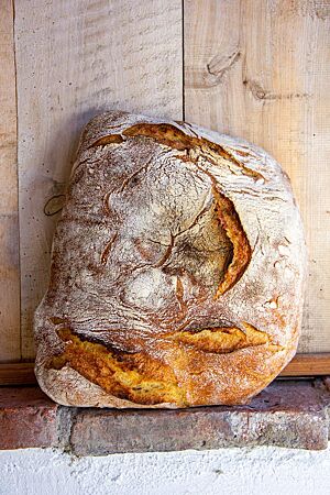 Weißbrot mit gelber Krume. Ein rustikal ausgebackener, eckiger Weißbrotlaib lehnt an einer Holzwand.