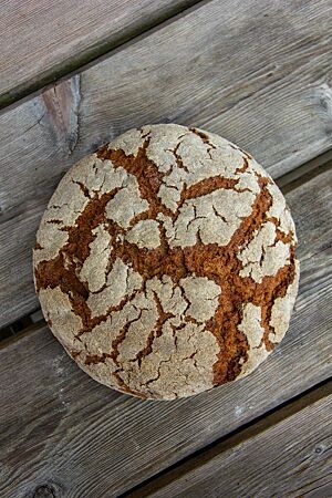 Roggenbrot mit Gerste. Das kräftig ausgebackene Roggenbrot mit Gerste hat Risse auf der bemehlten Kruste.