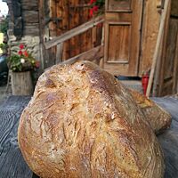 Ein großer, ovaler Laib Brot mit kräftig ausgebackener hellbrauner Kruste liegt auf einem Holztisch vor der Alm.