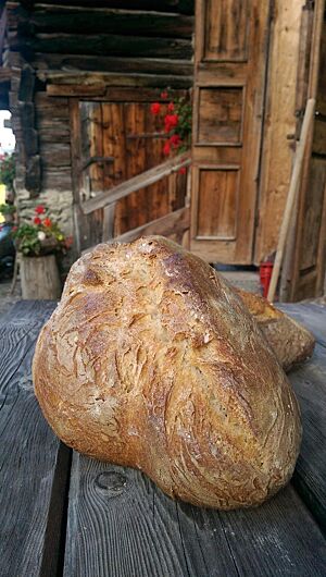 Ein großer, ovaler Laib Brot mit kräftig ausgebackener hellbrauner Kruste liegt auf einem Holztisch vor der Alm.