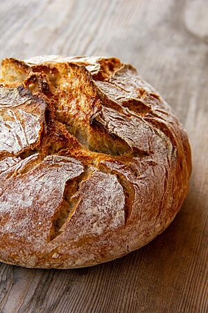 Weizensauerteigbrot mit Schwarzroggen. Ein rustikal aufgerissenes, kräftig ausgebackenes Weizensauerteigbrot mit krosser Kruste liegt auf einem Holztisch.
