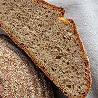 Im Anschnitt zeigt sich das Krustenbrot aus dem ersten Backversuch mit flachem Brotquerschnitt und kleinporiger, elastischer Krume.