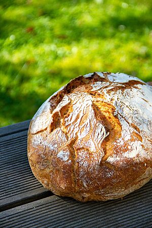 Das Weizenbrot mit krosser, rustikal aufgerissener und leicht bemehlter Kruste liegt auf einem Holztisch in der Sonne.