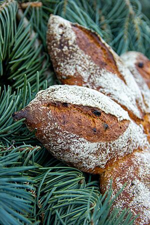 Weihnachtsbrot (2015). Das sternförmige Weihnachtsbrot liegt auf Tannenzweigen.