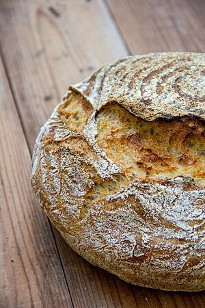 Julibrot. Das rustikal aufgerissene Julibrot hat eine leicht bemehlte Kruste.