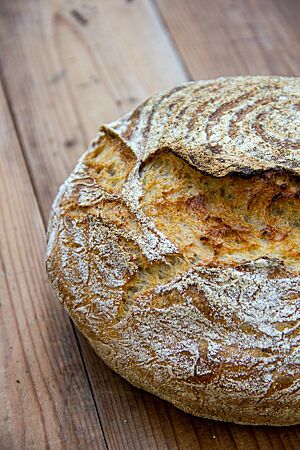 Das rustikal aufgerissene Julibrot hat eine leicht bemehlte Kruste.