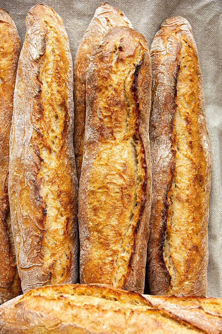 Sehmataler Stangenbrot: Plötzblog