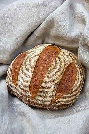 Das freigeschobene, dreimal parallel eingeschnittene 48-Stunden-Brot mit bemehlter Kruste liegt auf einem Leinentuch.