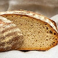 Das angeschnittene, freigeschobene 48-Stunden-Brot offenbart die lockere, elastische Krume.