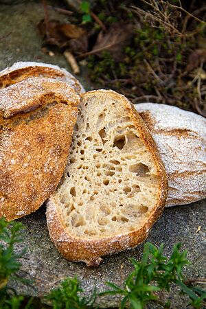 Dinkelhinkel: locker und lecker. Die krosse, braune Kruste der Dinkelhinkel umschließt eine weiche, mittelporige Krume.
