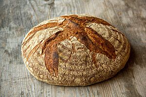 Weizenvollkornsauerteigbrot (2015). Die Kruste des Weizenvollkornsauerteigbrotes ist kräftig ausgebacken und rustikal aufgerissen.