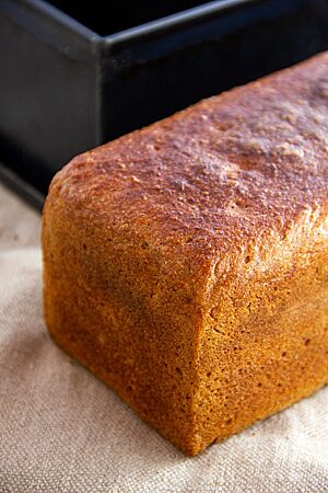 Roggenvollkornmischbrot 60/40. Das Roggenvollkornmischbrot 60/40 in Form eines Kastenbrotes hat eine goldbraun ausgebackene, glatte und leicht glänzende Oberfläche.