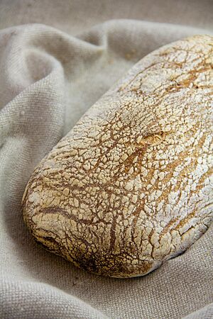 Weizensauerteig-Ciabatta. Ein Weizensauerteig-Ciabatta mit bemehlter Kruste liegt auf einem Leinentuch.