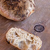 Ein angeschnittene Ciabatta-Laib liegt auf einem Holztisch und zeigt die ungleichmäßige, grobporige und saftige Krume.