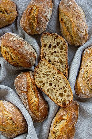 Drei-Stunden-Brötchen: grobporig, locker, geschmackvoll. Das Drei-Stunden-Brötchen im Anschnitt zeigt die grobe Porung und lockere Krumenstruktur.