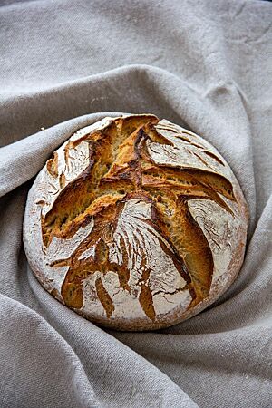 Brot aus Apulösien. Ein kräftig ausgebackenes, rustikal aufgerissenes Weizenbrot mit bemehlter und krosser Kruste liegt in einem Leinentuch.