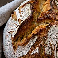 Das Brot aus Apulösien hat eine kräftig ausgebackene und rustikal aufgerissene, leicht bemehlte Kruste.