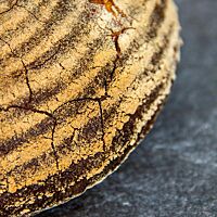 Das Weizenmischbrot hat eine kräftig ausgebackene Kruste mit sichtbaren Mehlringen des Gärkorbes.
