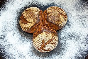 Rotkohlbrot (Weihnachtsbrot 2013). Das kräftig ausgebackene, leicht rustikal aufgerissene Rotkohlbrot mit bemehlter Kruste liegt auf der gänzlich mit Mehl bestreuten Arbeitsfläche. Das angeschoben gebackene Brot besteht aus drei kleinen, runden Laiben, die sich alle gegenseitig berühren.