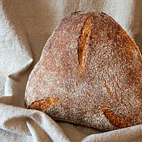 Das goldbraun ausgebackene, dreieckige Roggen-Dinkel-Brot mit Grieß auf der Oberfläche hat drei kleine Einschnitte an jeder Spitze des Dreiecks.
