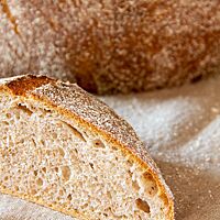 Im Anschnitt zeigt sich das Roggen-Dinkel-Brot aus dem ersten Backversuch mit kleinporiger, lockerer Krume.