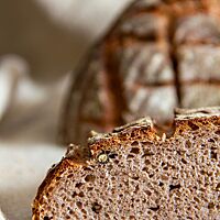 Der Anschnitt des Pfefferbrotes aus dem ersten Backversuch zeigt den sehr flachen Brotquerschnitt und die Pfefferkörner in der lockeren, kleinporigen Krume.
