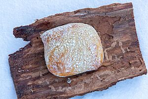 Schneebrötchen. Ein goldgelb ausgebackenes, rechteckiges Schneebrötchen mit Mehl auf der Kruste liegt auf einem Stück Baumrinde im Schnee.