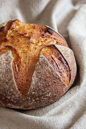 Bierbrot mit kalter Gare. Ein kräftig ausgebackenes, rustikal aufgerissenes Weizenmischbrot mit leicht bemehlter Kruste liegt in einem Leinentuch.