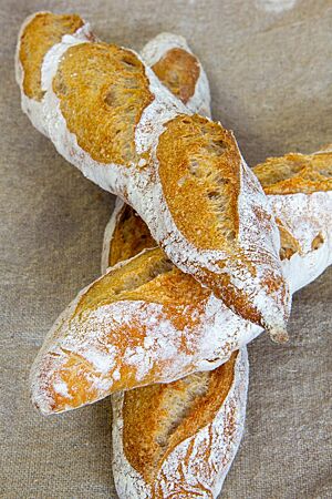 Französische Baguettes. Drei rustikal aufgebrochene Baguettes mit bemehlter Oberfläche liegen gekreuzt aufeinander.